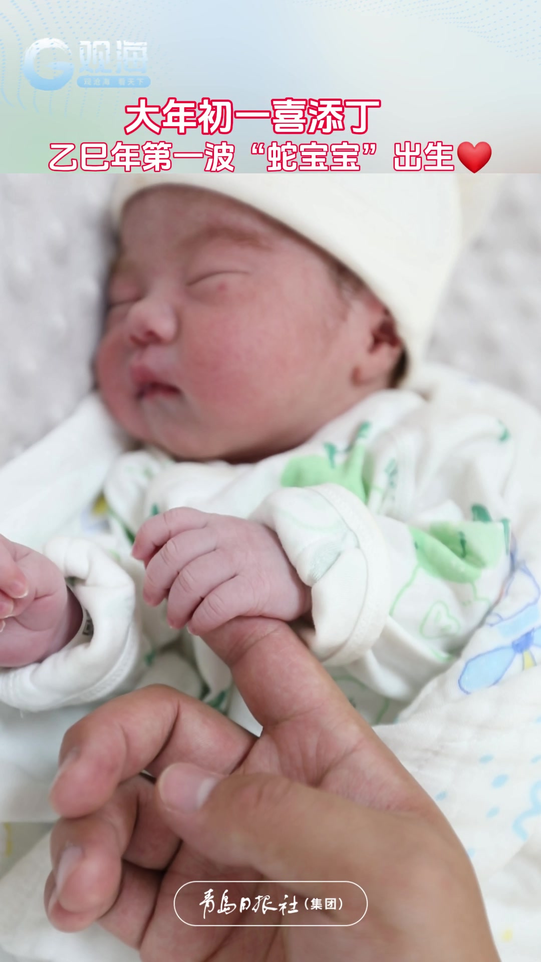 喜讯！乙巳年第一波“蛇宝宝”驾到