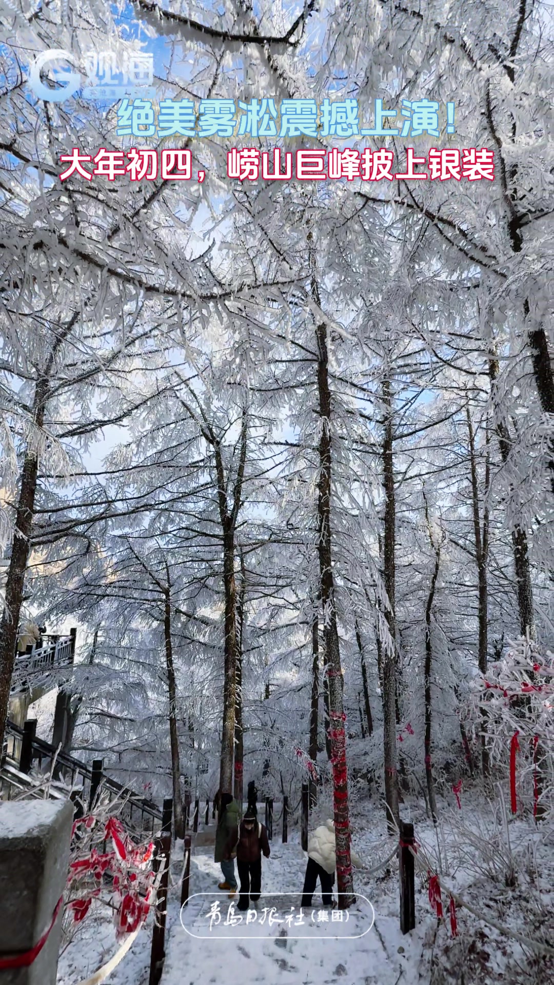 大年初四，绝美雾凇在崂山巨峰震撼上演