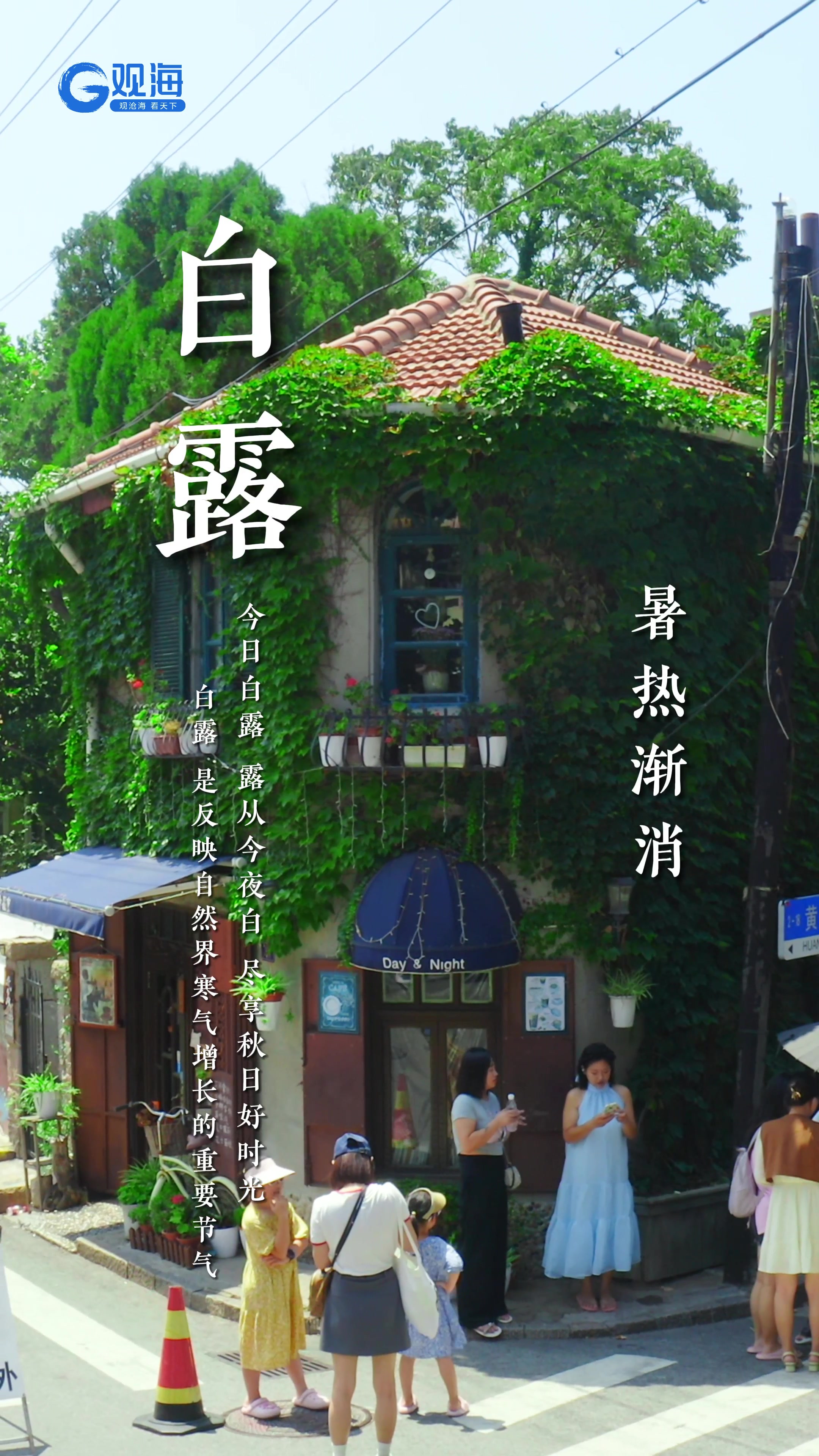 今日白露：露从今夜白，尽享秋日好时光