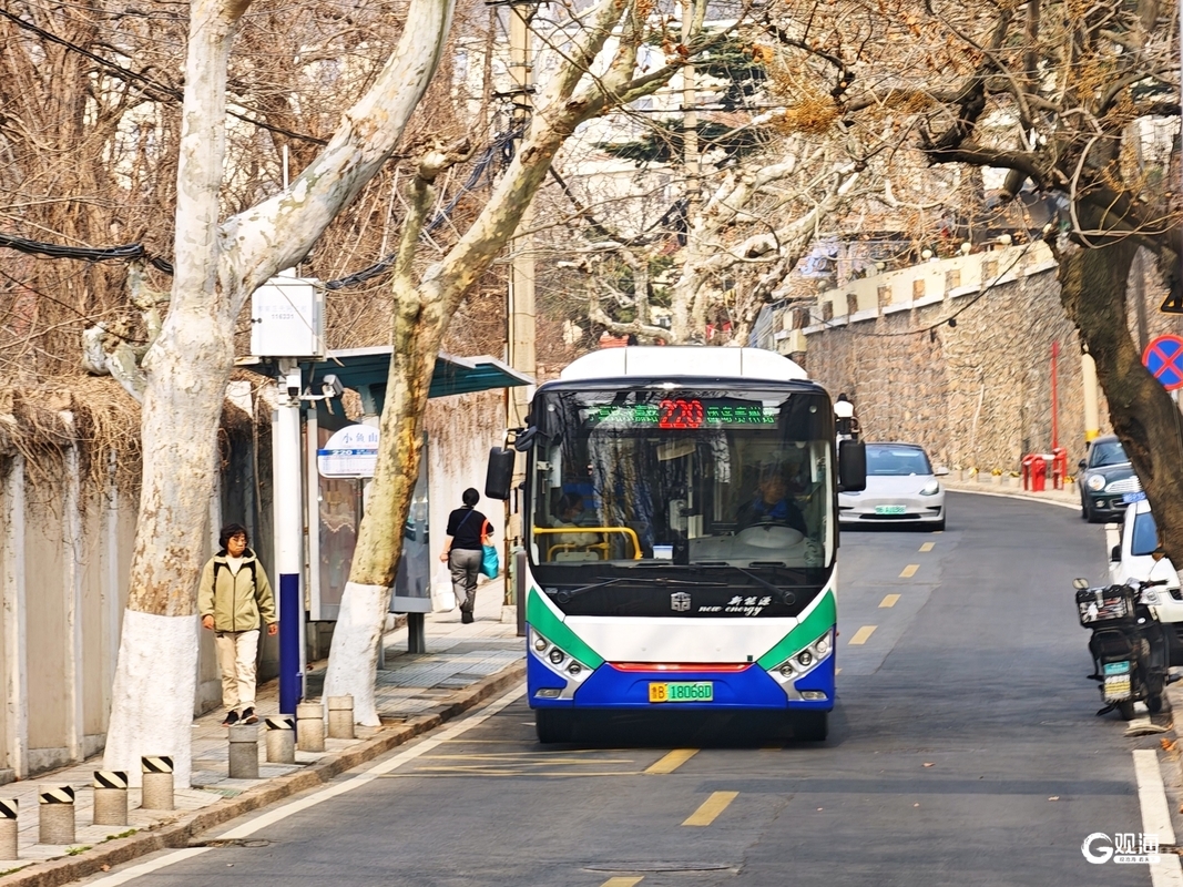 漫游老城街巷共赏春日浪漫！青岛巴士开出“玉兰之约”主题车(图1)