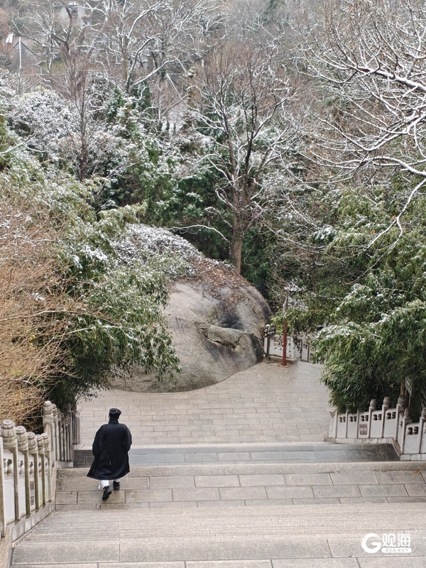 属“马”的游客有福了！2026年春节期间（2月15日至23日）这些人免票游崂山
