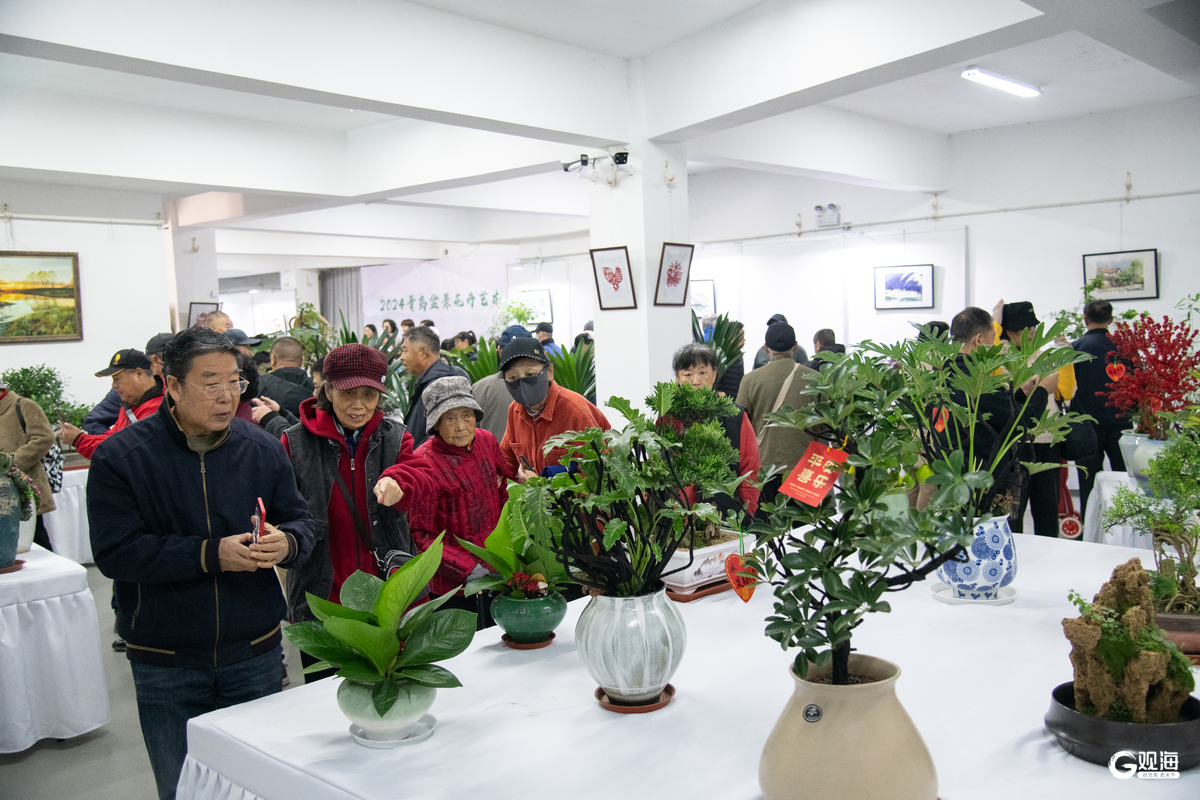 助力园林花卉产业高欧博体育网址质量发展2024青岛盆景花卉艺术展开展(图2)