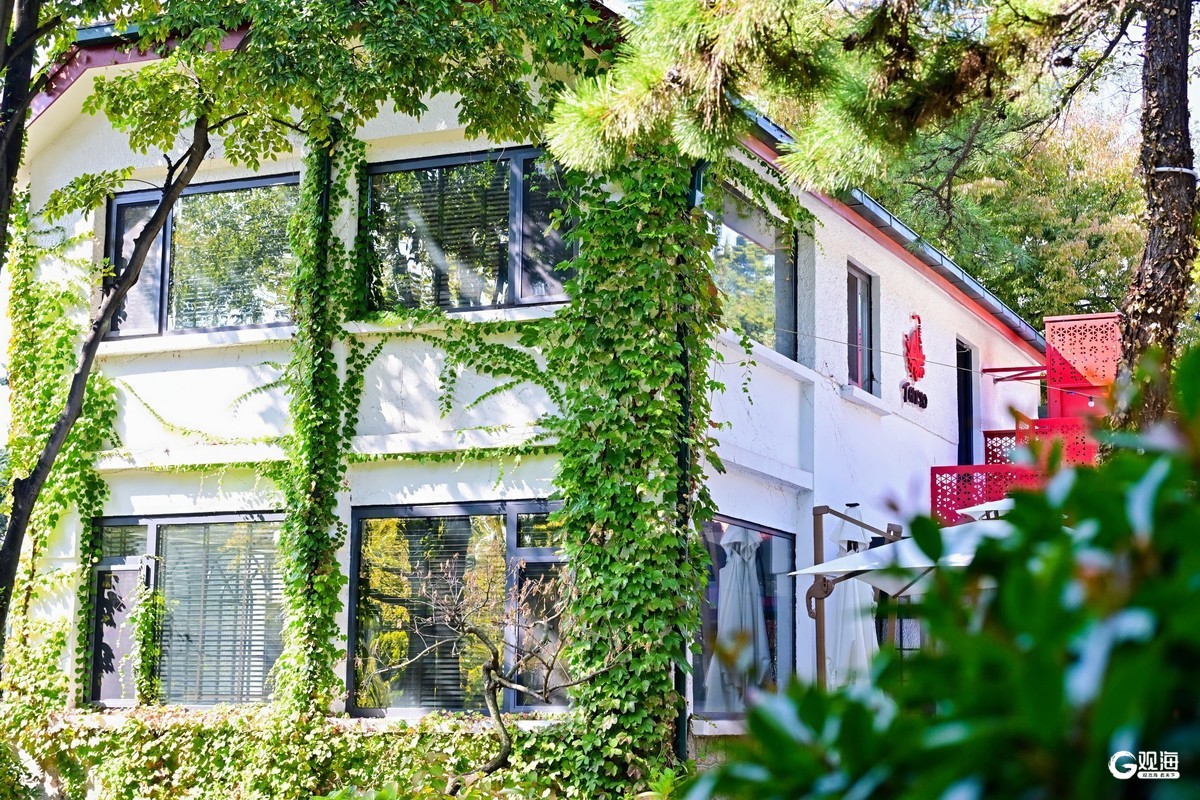 凤凰联盟平台聚焦文化元素创新体验场景……青岛特色餐饮激发消费新热潮(图2)